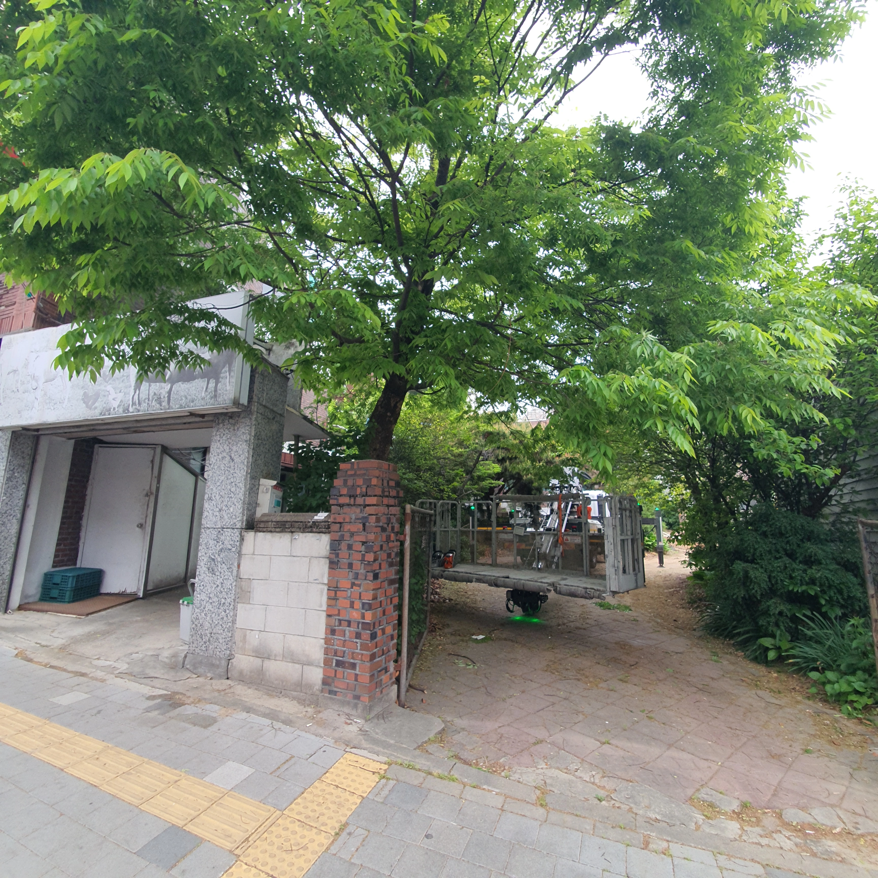 아파트 나무가지치기
