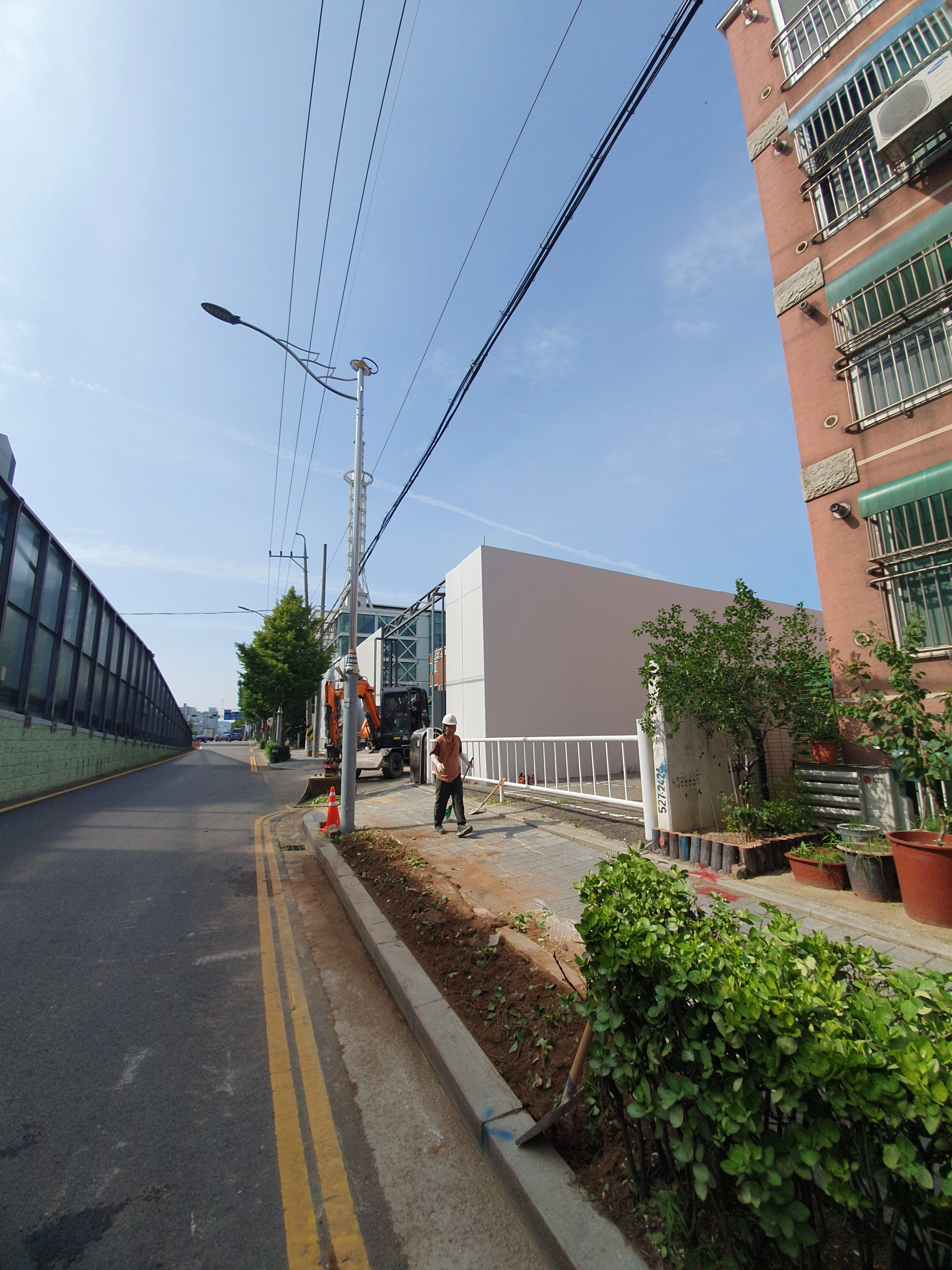 강남 도곡동 뿌리 그루터기 제거 완료 후