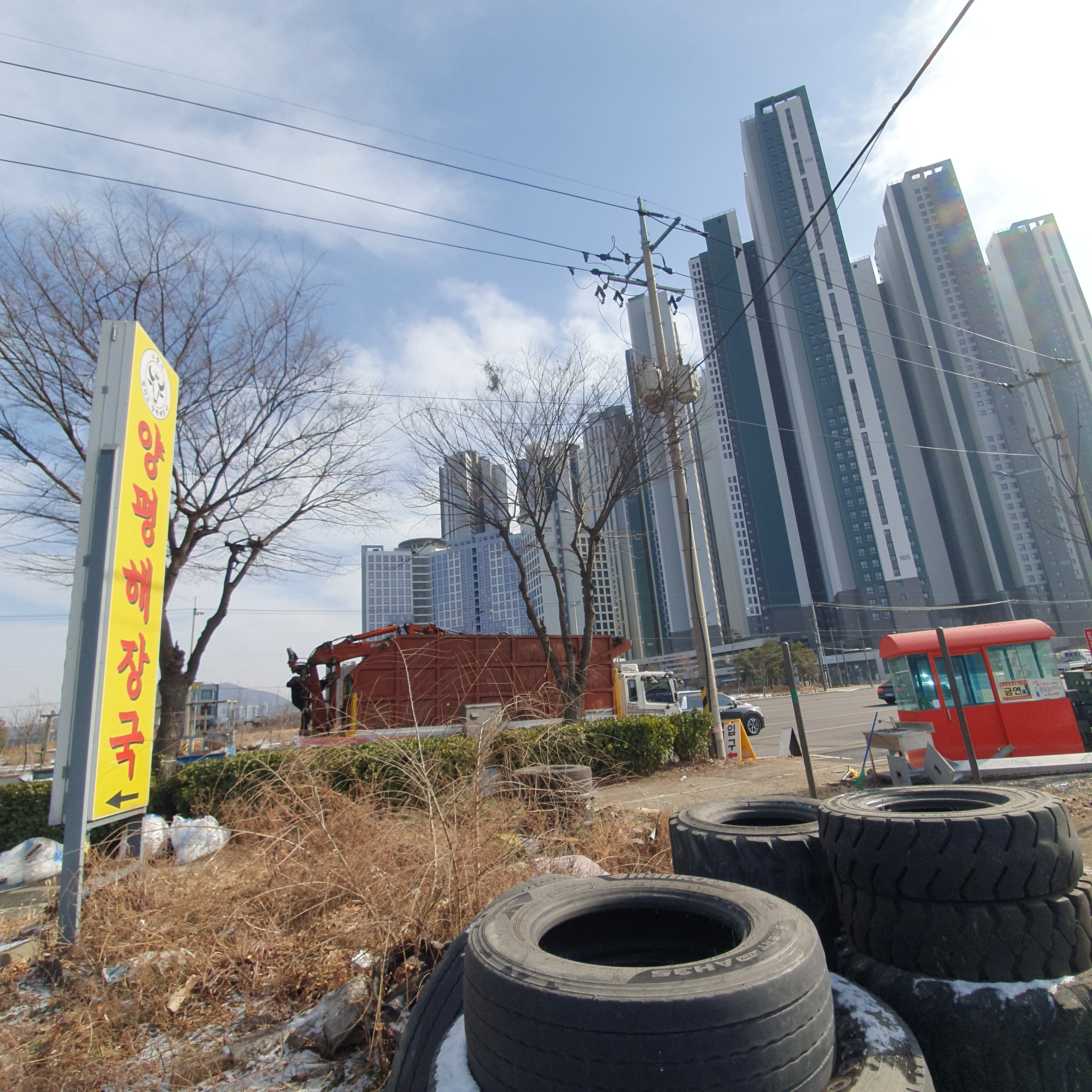 강남 청담동 위험목 안전 처리 완료 후